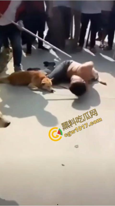 广西村民抓住偷狗贼，脱光殴打，场面血腥凶残，围观村民挥棒狂殴，男子惨嚎不断，村民誓要为爱犬复仇！-4