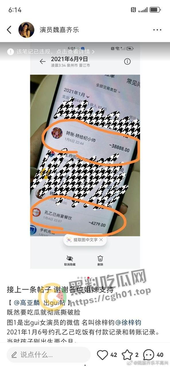 家有儿女【夏东海】出轨！扮演者【高亚麟】被妻子实锤出轨家暴  未删减实锤证据流出-4