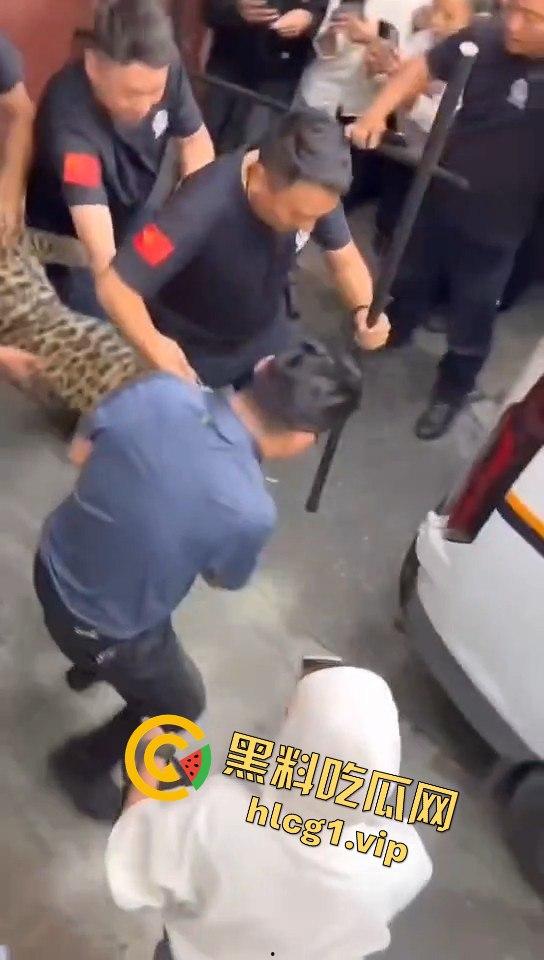 甘孜白玉县城惊现贵宾！金钱豹进城，周围居民直接呆住！-1