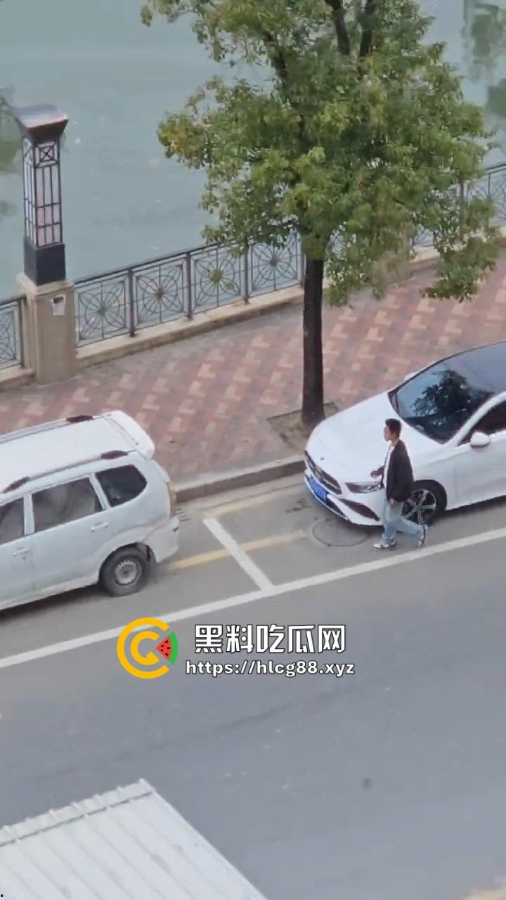 河南偷车小分队大白天开抢,一人爆车门硬撬,两傻逼骑小电驴望风,天网监控算个屁!-3