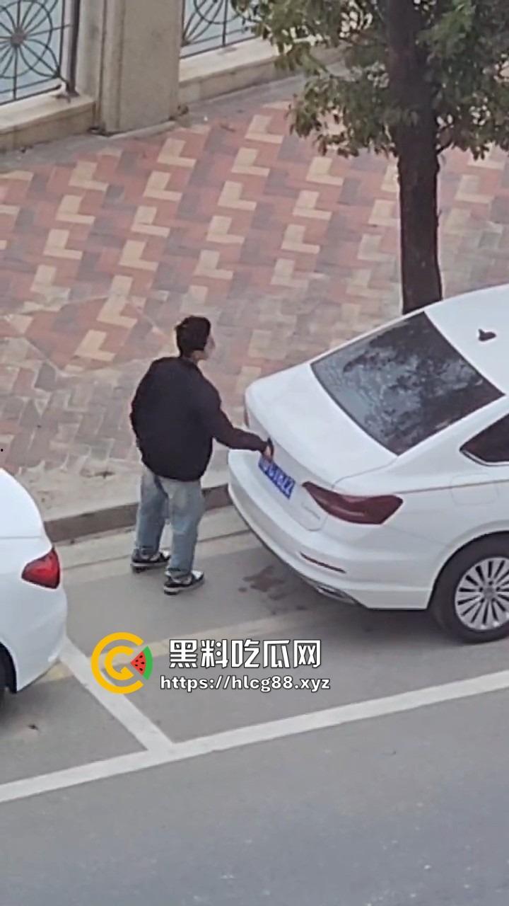 河南偷车小分队大白天开抢,一人爆车门硬撬,两傻逼骑小电驴望风,天网监控算个屁!-8