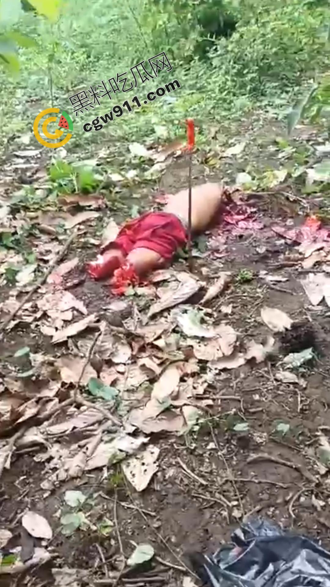 墨西哥毒枭残暴行径：年轻帮派成员遭野外肢解处决，鲜血四溅，画面极度血腥恶心，胆小者勿点-9