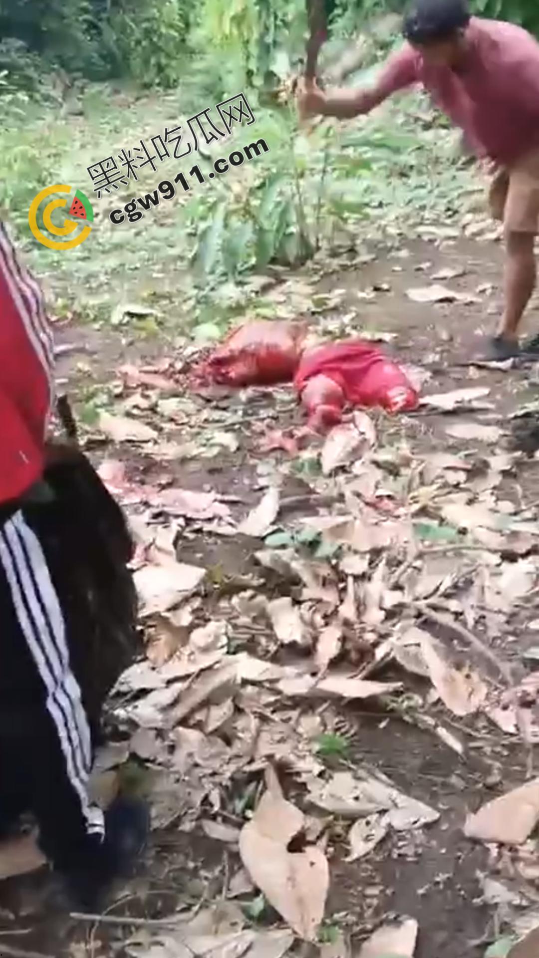 墨西哥毒枭残暴行径：年轻帮派成员遭野外肢解处决，鲜血四溅，画面极度血腥恶心，胆小者勿点-10