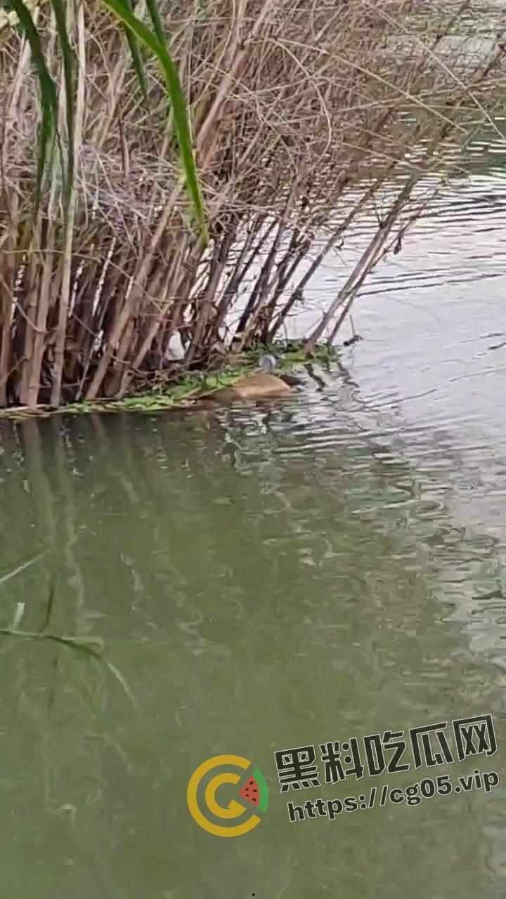 广州从化大学城女大学生接连失踪 江浦街道惊现无头女尸 凶手仍未捕获  现场画面曝光-7