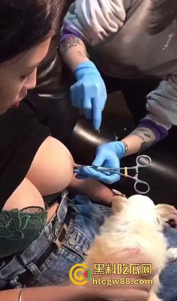 柳州精神小妹直播打乳环,大白奶挂铃铛淡定自若,SM调教系狗绳,这奶白花花真会玩!-8