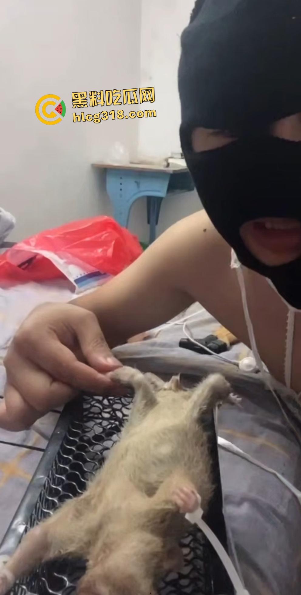 人兽变态新高度!蒙面猛男生啃死老鼠小鸡鸡,带着面罩生怕别人不知道是变态?-5
