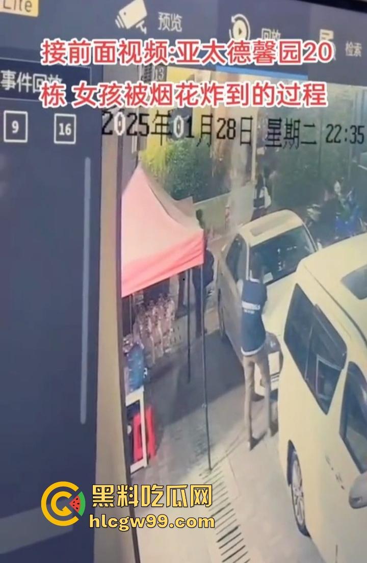 缅甸妙瓦底狗推放烟花庆祝 结果变身炸弹现场 短裙女友当场炸伤 这烟花是买到军火了？-9