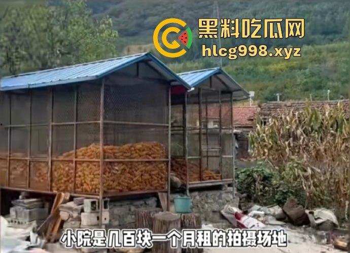 东北雨姐风光不再!假货售卖打架风波后人设崩塌,直播基地成废墟,人间蒸发跑路润!-15