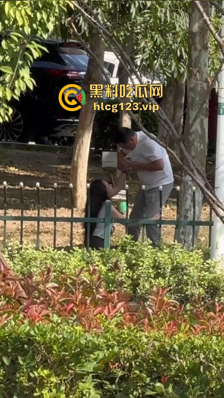 安徽芜湖长江南路惊现大尺度现场!为爱马仕鳄鱼皮,女的当街给口,鸡瘾犯了拼了命!-1