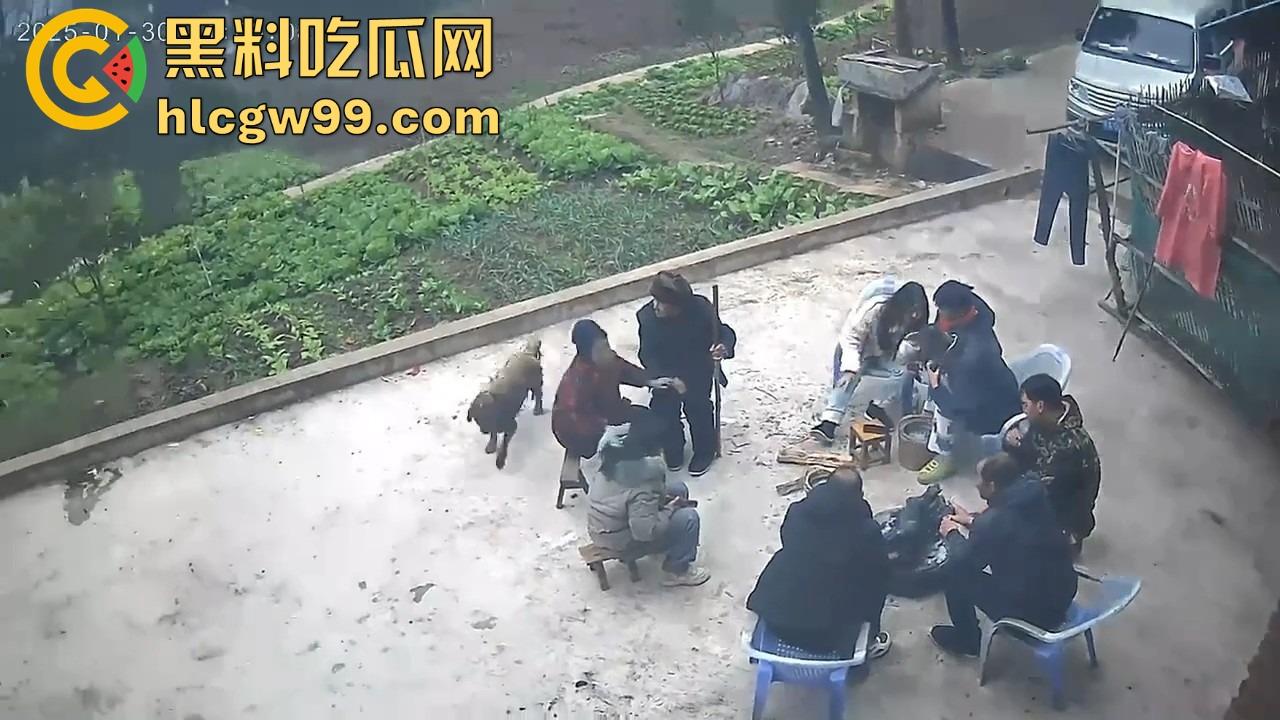 重庆狗子掉进粪坑惨变生化武器 出坑后全家总动员 结果反被狗狂追满院狂喷 粪味冲天！-2