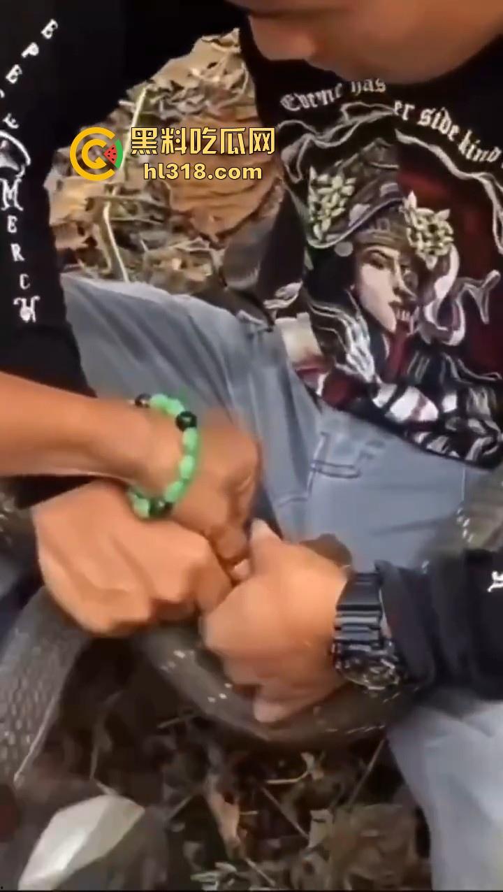 上山采蘑菇偶遇眼镜蛇咬鸡巴，透过裤子咬着死死不放，这是不是感觉不能要了呀！-4