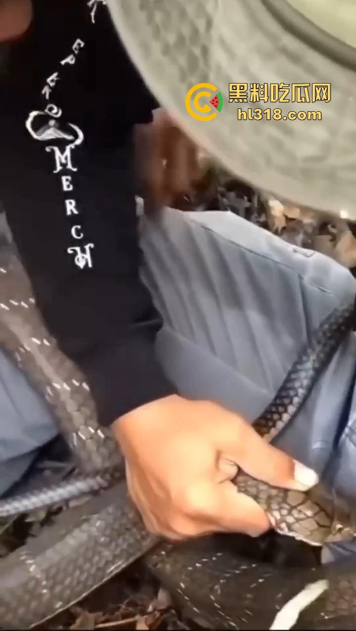 上山采蘑菇偶遇眼镜蛇咬鸡巴，透过裤子咬着死死不放，这是不是感觉不能要了呀！-8