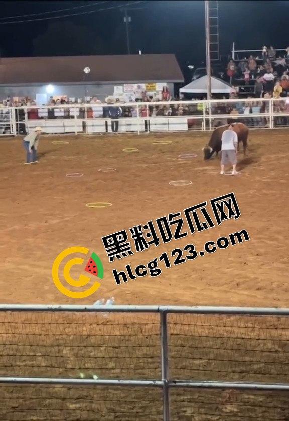勇敢者的游戏:留在圈里拿10万美元?被牛撞一下骨折赚70万,这笔买卖真划算!-3
