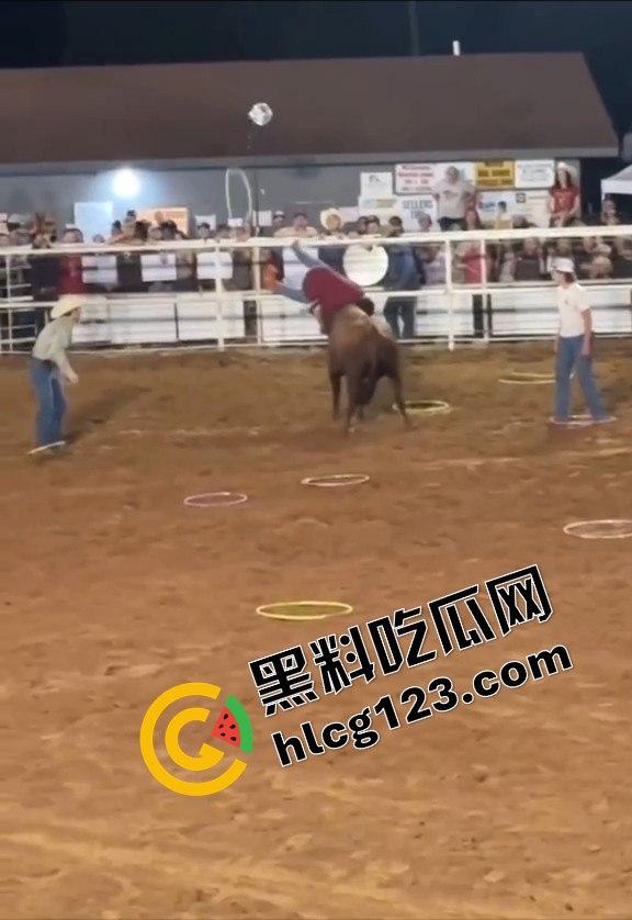 勇敢者的游戏:留在圈里拿10万美元?被牛撞一下骨折赚70万,这笔买卖真划算!-9