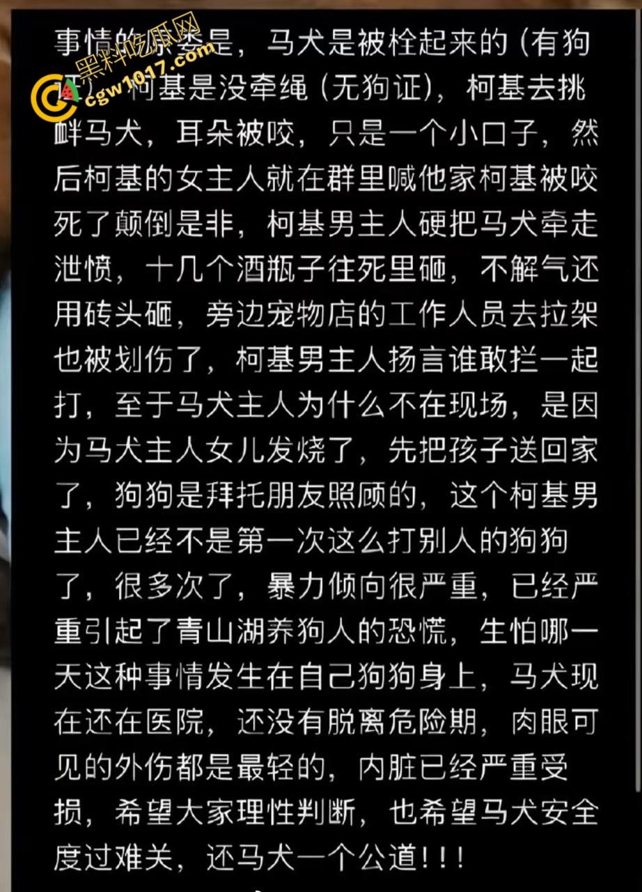 浙江狂暴男子街头暴力虐狗事件火遍全网：血腥场面令人震撼，马犬惨叫声震撼人心，引发全民怒吼！-2