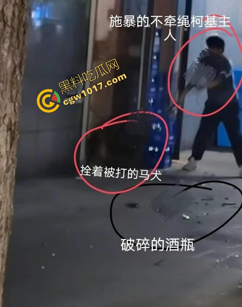 浙江狂暴男子街头暴力虐狗事件火遍全网：血腥场面令人震撼，马犬惨叫声震撼人心，引发全民怒吼！-7