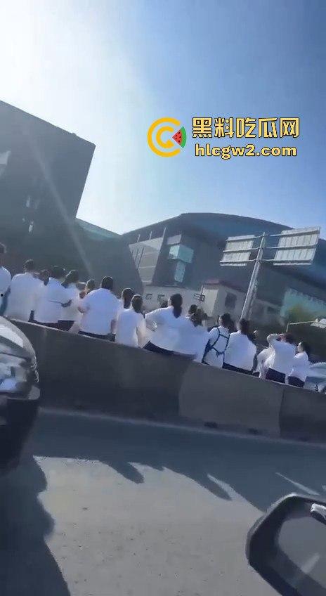 上海沪松公路被国利员工堵到爆!讨薪没问题,害全场牛马迟到真是要命!-2