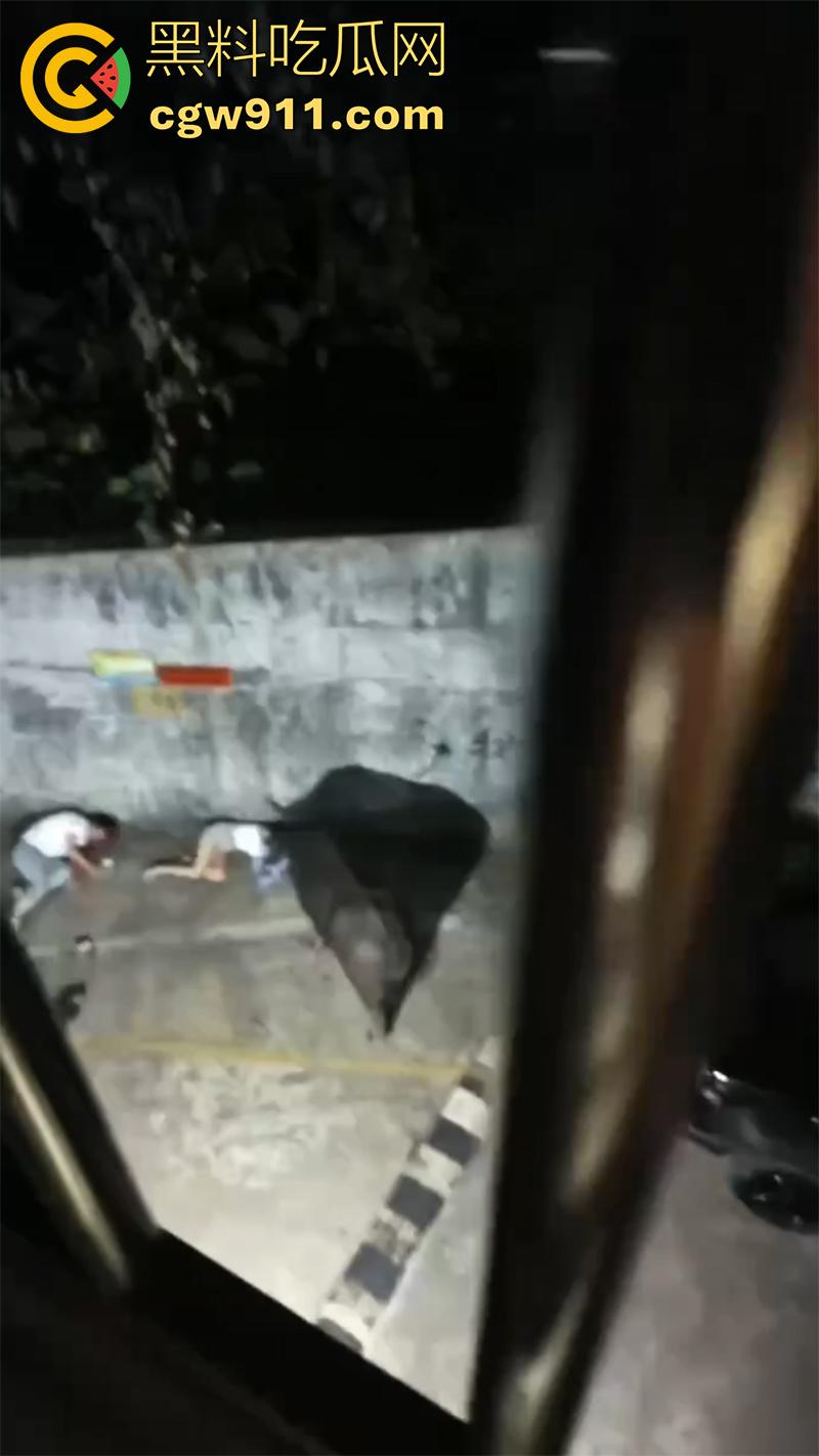 广西藤县河西疯牛伤人事件,伤者正在治疗疯牛仍在逃,警方联合多部门在大冲肚区域追捕!-1