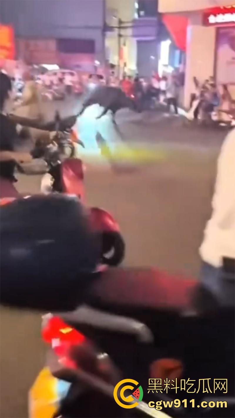 广西藤县河西疯牛伤人事件,伤者正在治疗疯牛仍在逃,警方联合多部门在大冲肚区域追捕!-4