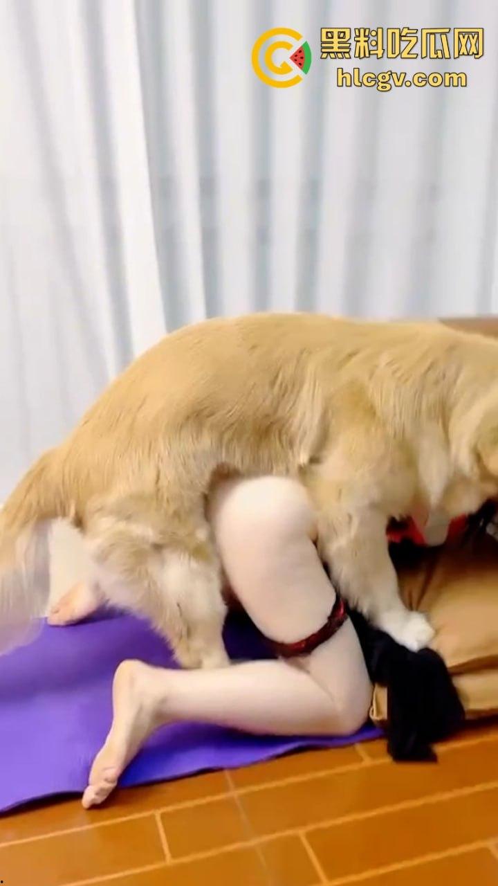 抖音小姐姐【香香公主】给科普兽交注意事项 每天都在和金毛上演人兽配!-9