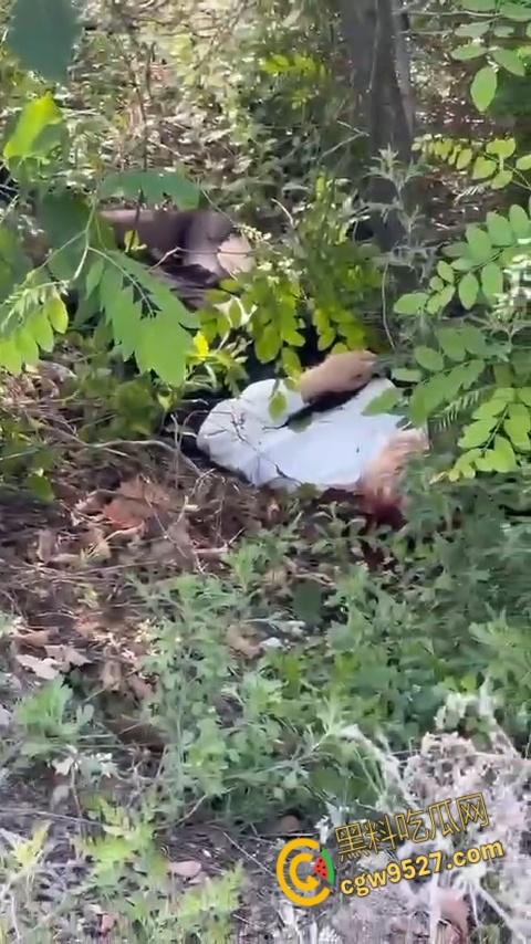 抖音清纯机车妹【是肉肉呀】，路边高速压弯，不慎滑倒人都甩飞了，这下全村又得开席了 !-5