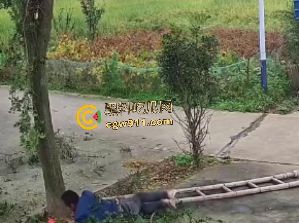 大爷作死上树砍枝惨摔内伤！年过半百爬木梯伐树，树枝滑落砸翻落地，这才是真伐木累，痛到怀疑人生！-5