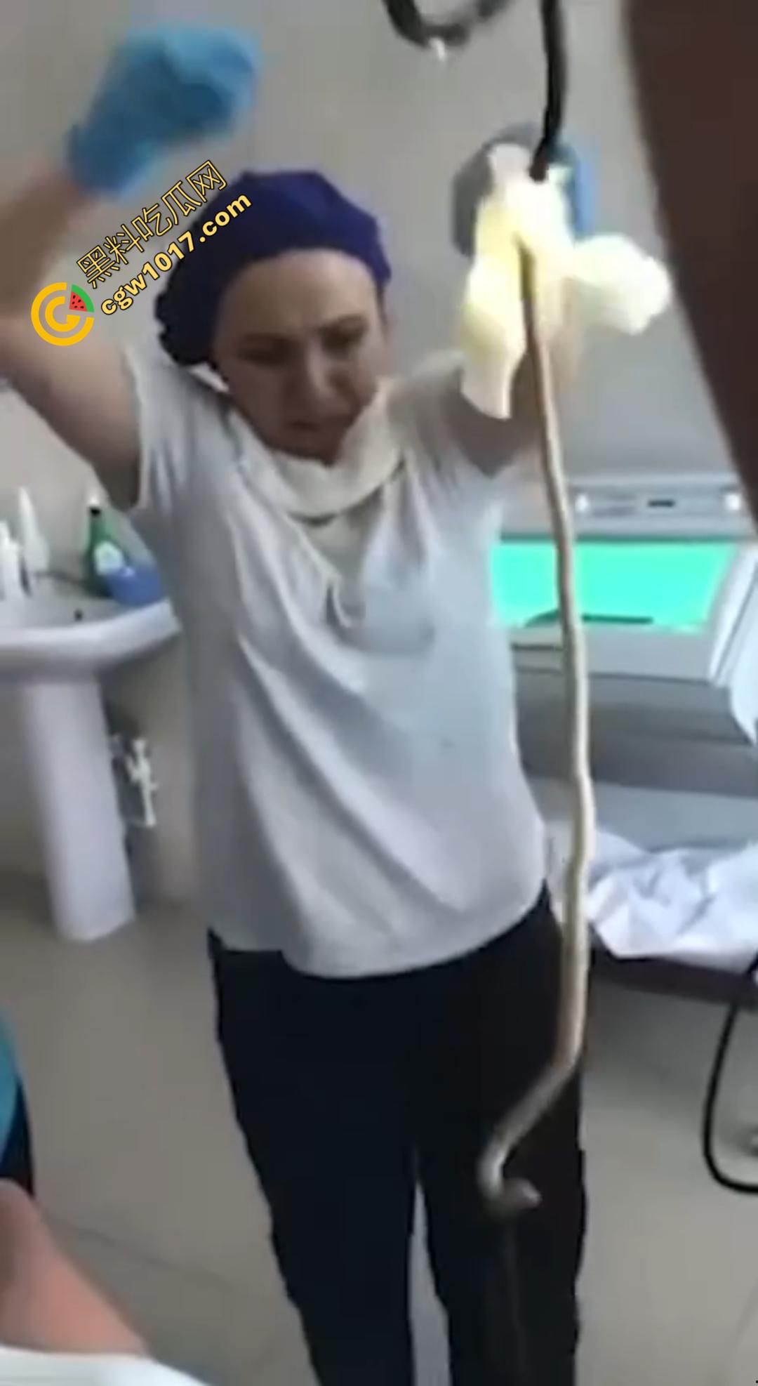 俄罗斯医院活拽1米毒蛇！女患者吞蛇卵孵化钻喉，医生手抖拽出瞬间到处乱窜！-4