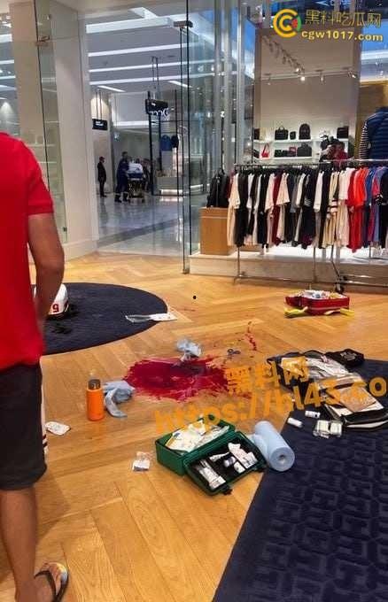 澳大利亚悉尼购物广场，发生无差别持刀砍人事件，网传现场30多人被刺，商场都是尸体多人死亡 ！-5