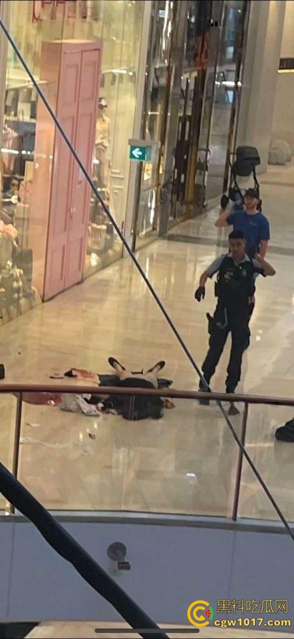 澳大利亚悉尼购物广场，发生无差别持刀砍人事件，网传现场30多人被刺，商场都是尸体多人死亡 ！-6