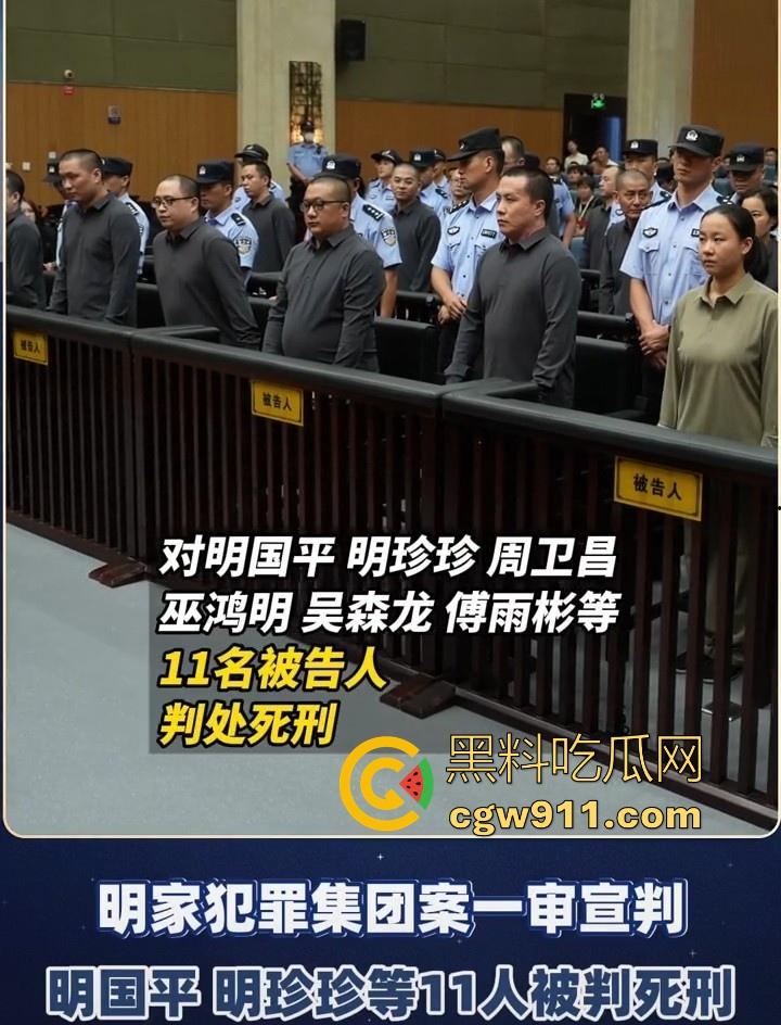 缅甸四大家族之一明家终于判刑了，5人判处死刑11人判无期12人二十四年至五年不等，对这种人渣应该全部死刑！-2