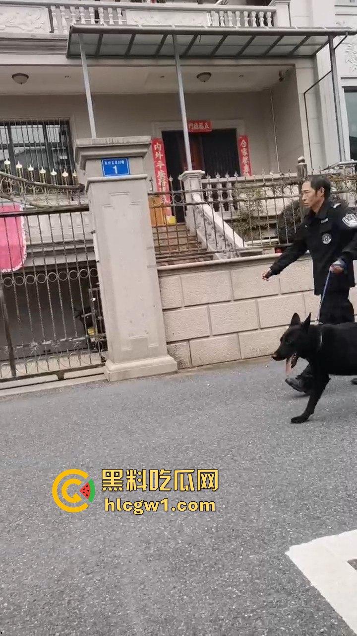 浙江义乌南山区地毯式搜索凶手！群众瑟瑟发抖，警方封锁整片山林！-8