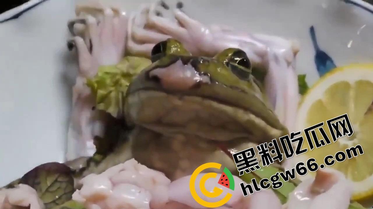 蛙蛙刺身,现杀现吃!上半身还在挣扎,下半身已经下肚,小日子这口味是真敢整!-1