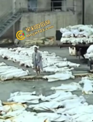 海地“绝命毒师”杀黑帮40人？掺杀虫剂当馅饼毒杀灭共生帮，自首竟没被抓还被政府奖励钱！-9