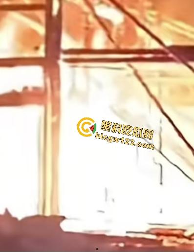 海地“绝命毒师”杀黑帮40人？掺杀虫剂当馅饼毒杀灭共生帮，自首竟没被抓还被政府奖励钱！-10