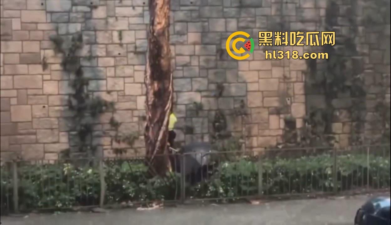 怎么香港这么多碎尸案啊！香港 湾仔发现“无头尸体”，上下肢体分离，头部仍在寻找中，真恐怖！-8