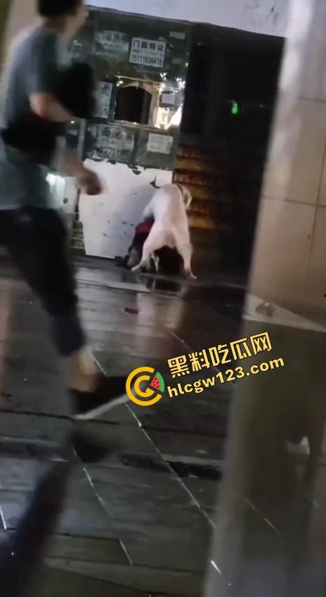 成都00后小孩哥街头遛狗变骚戏，大街上让狗日得嗷嗷浪叫，母0贱态趴在地上撅着屁股让狗抱！-3