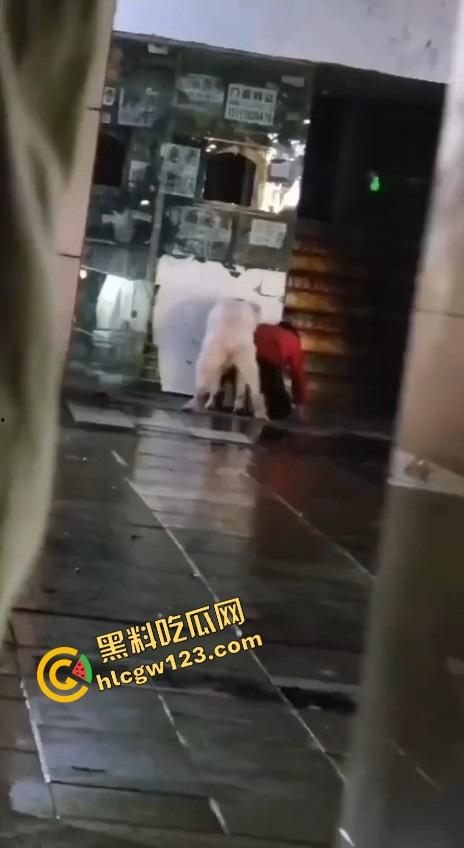 成都00后小孩哥街头遛狗变骚戏，大街上让狗日得嗷嗷浪叫，母0贱态趴在地上撅着屁股让狗抱！-8