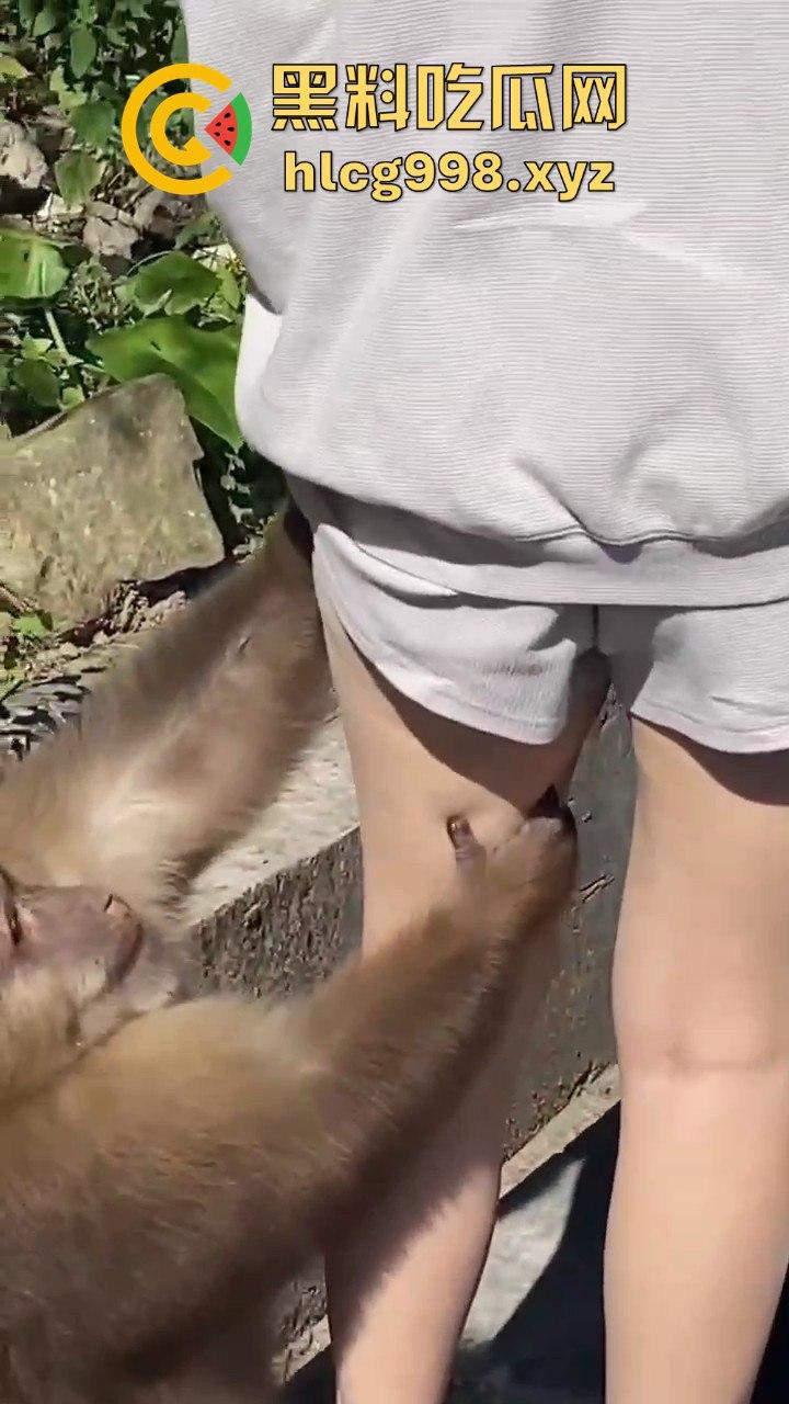 奇葩猴子不吃香蕉专爱美女！见到女的就疯狂抱大腿、抓胸、扯头发！-7