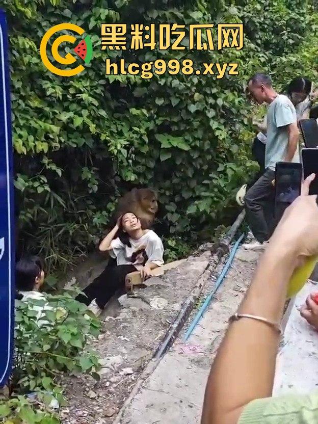 奇葩猴子不吃香蕉专爱美女！见到女的就疯狂抱大腿、抓胸、扯头发！-10