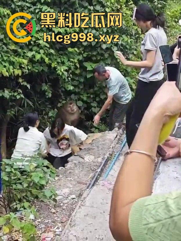 奇葩猴子不吃香蕉专爱美女！见到女的就疯狂抱大腿、抓胸、扯头发！-11