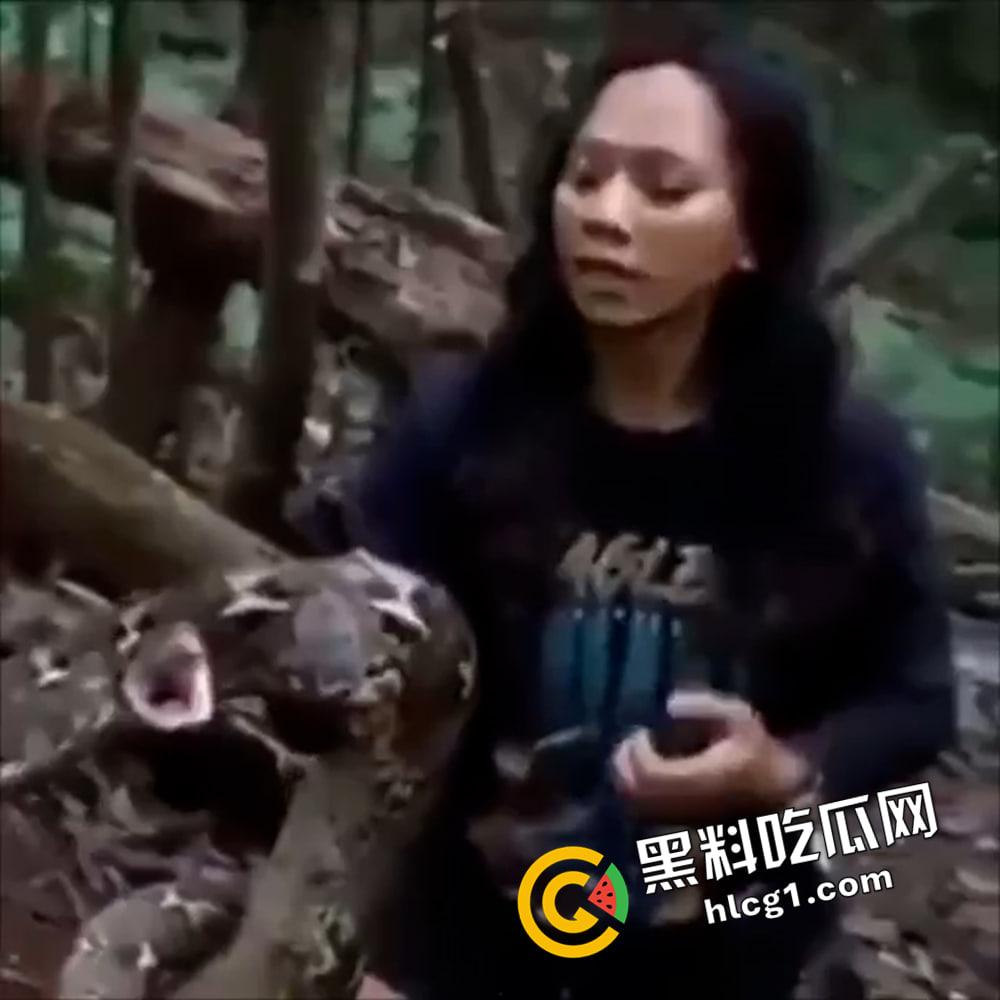 巨蟒咬鸡鸡  没有毒都能要人命 上一秒嚣张 下一秒死的心都有了-1