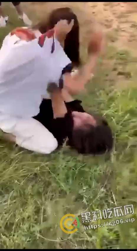 仙女干架 逼飞奶炸 她甚至为了打个架还专门刮了逼毛 第七弹-7