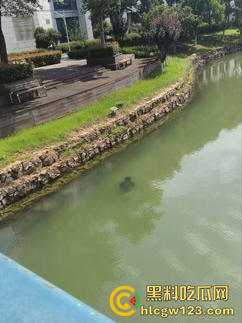 湖北武汉学生坠湖自杀，中国地质大学未来城校区，因女友出轨想不开，竟跳湖自尽遗体已被打捞！-7