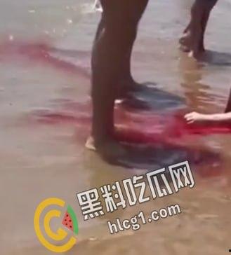 美国德克萨斯州南帕德里岛海滩，多人被鲨鱼咬伤。两男两女遭到鲨鱼袭击。政府已派出直升机将其驱赶。-4