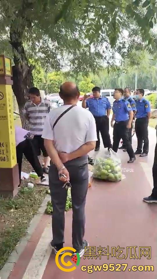 黑龙江城管不讲道理执法，跟买菜小摊贩说两句就上头，牛逼到不行，给个书记他做那不得起飞了！-7