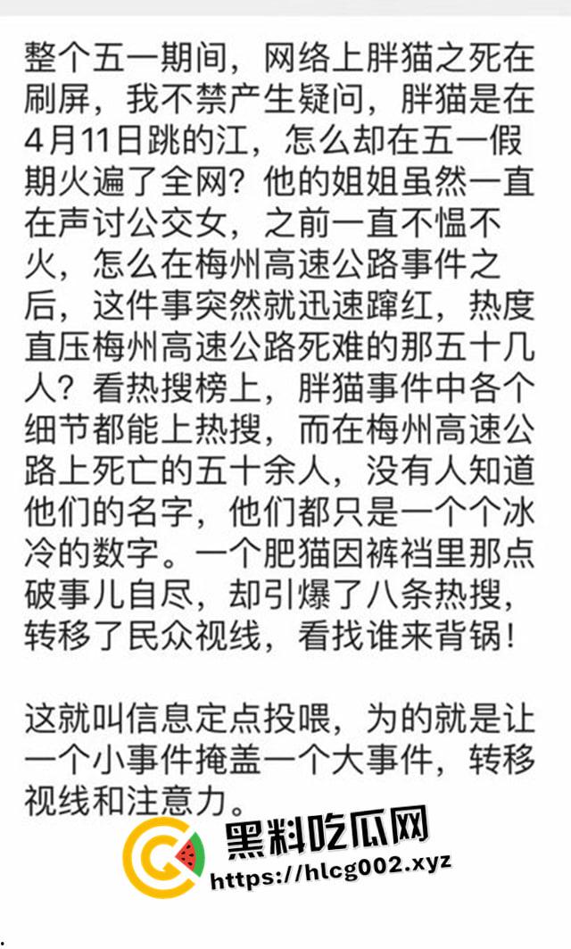 肥猫之死热度远超梅州高速惨案！工程质量问题堪忧 电车起火才是主要原因 全网没人说真话？-2