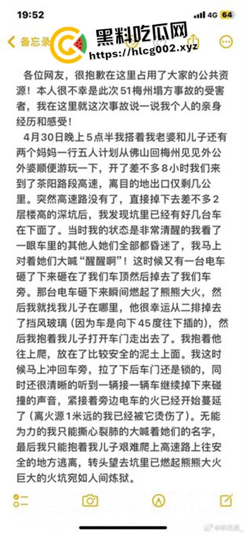 肥猫之死热度远超梅州高速惨案！工程质量问题堪忧 电车起火才是主要原因 全网没人说真话？-4