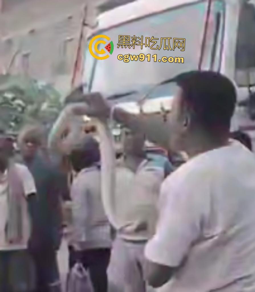印度蛇王装逼被反杀，毒眼镜蛇一口咬死抓蛇神人，没想到血清忘带了，直接当场丧命，下辈子别再装逼了！-6