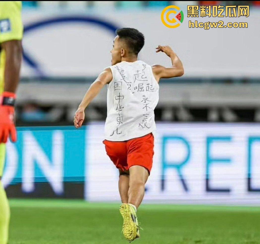 世预赛国足vs日本，球迷第33分钟场内抢戏！比赛被迫暂停，这热情过头了吧？-3