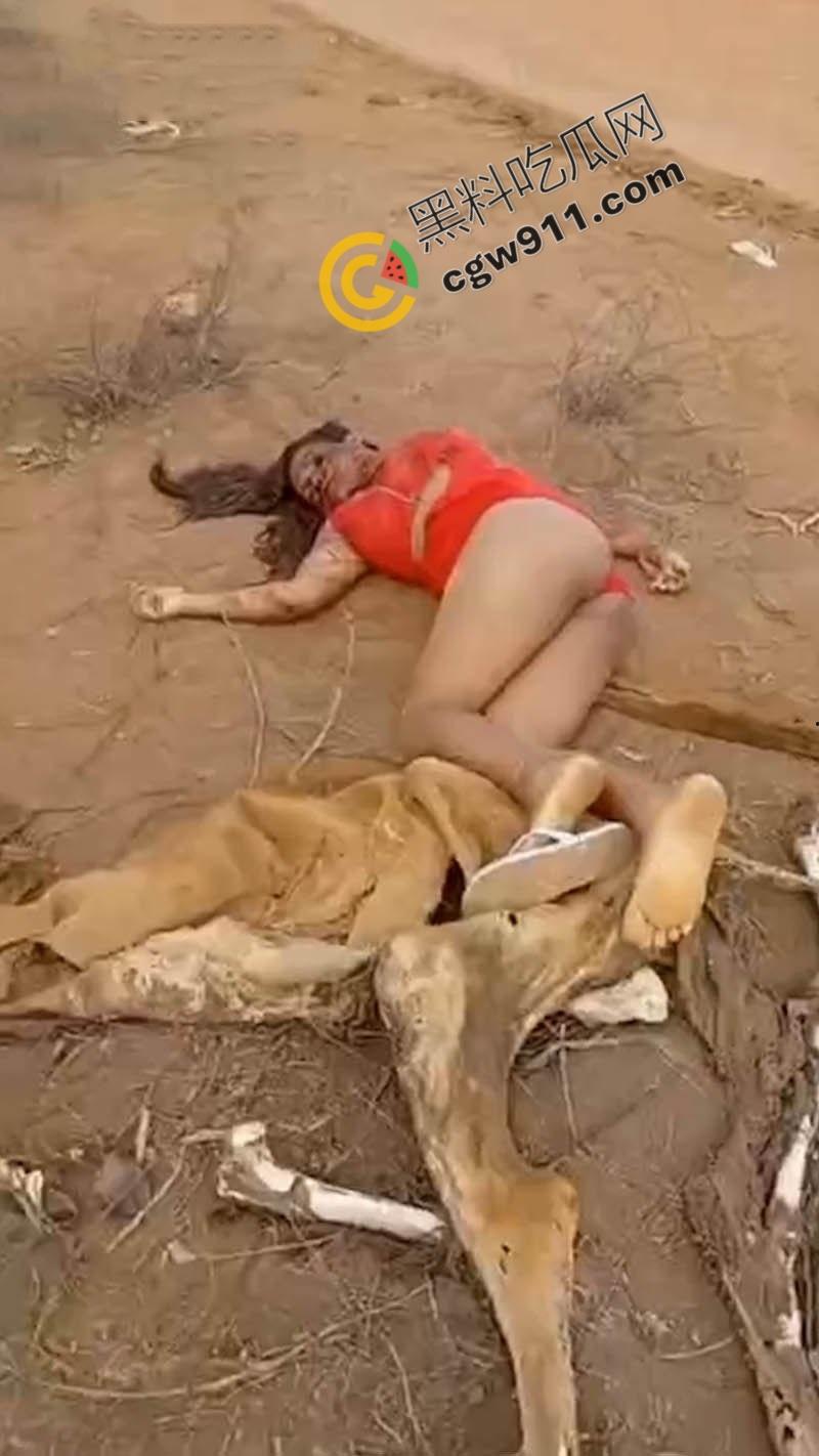 巴西路边血腥噩梦：北部湾州美女割喉弃尸，红衣浸血如修罗场，喉管撕裂，热血喷涌染红大地！-2